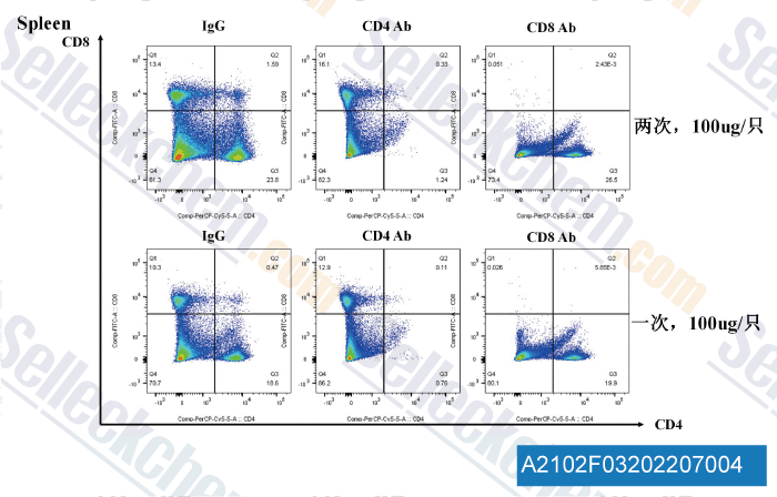 A2102 Anti-mouse CD8-alpha-InVivo-2.gif